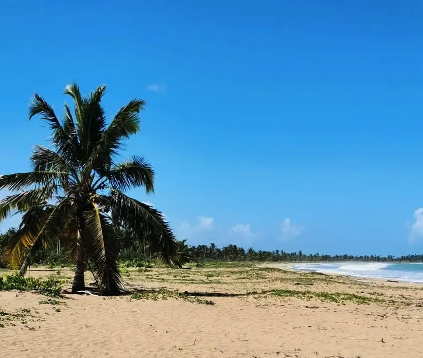 Heißer Strand in Punta Cana
